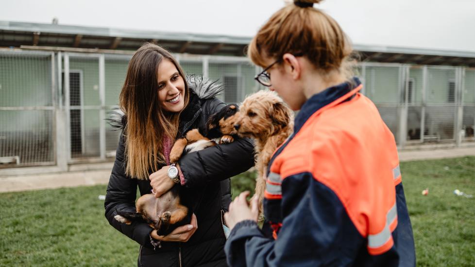 coccidia in dogs; two shelter workers play with puppies.